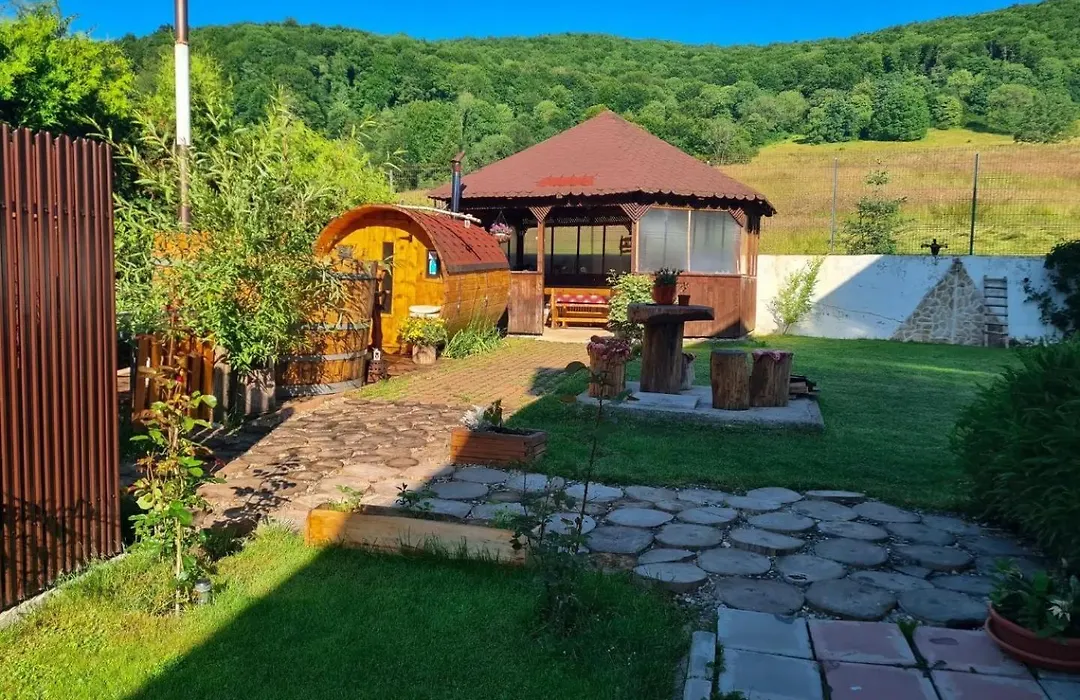 Poiana Cristian-1