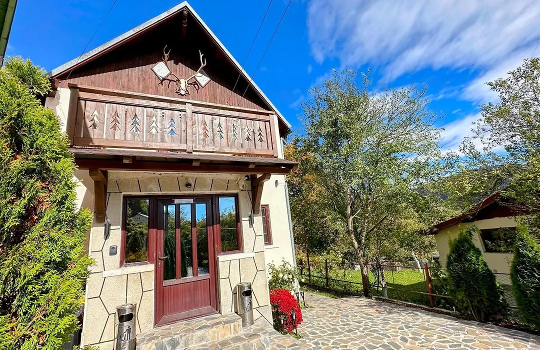 Bucegi View-1