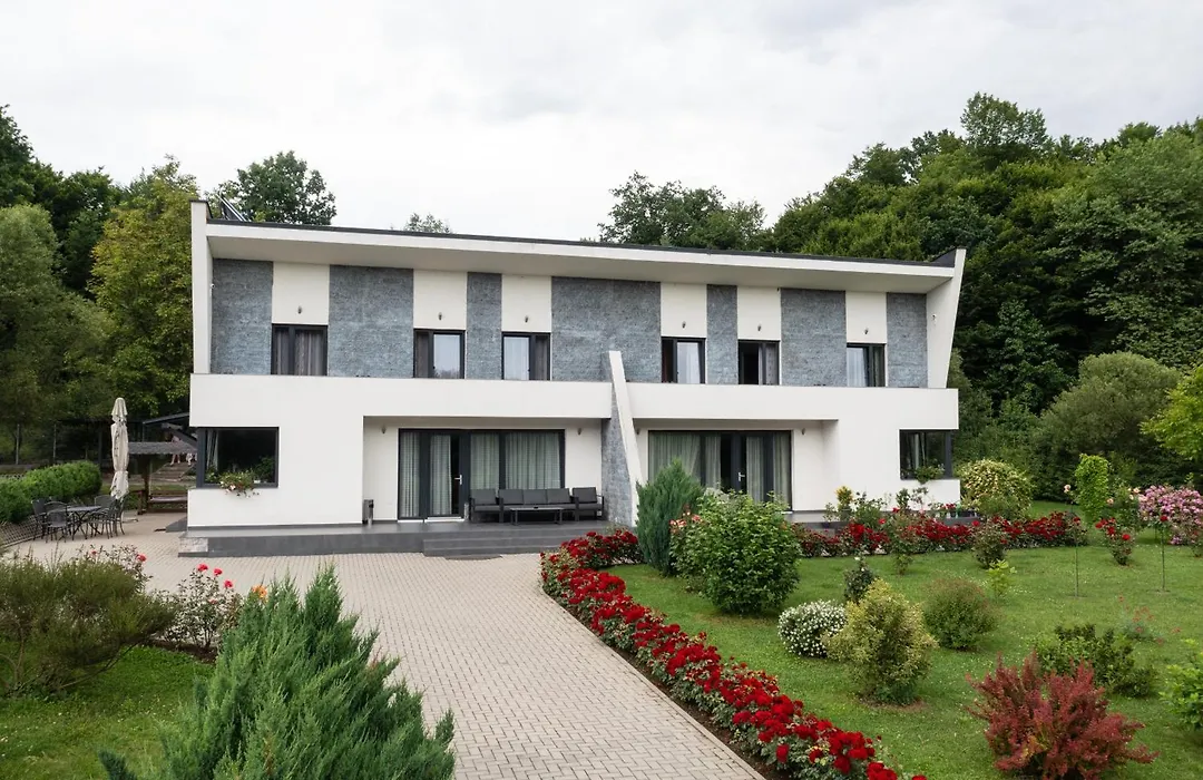 Casa Nagy-1