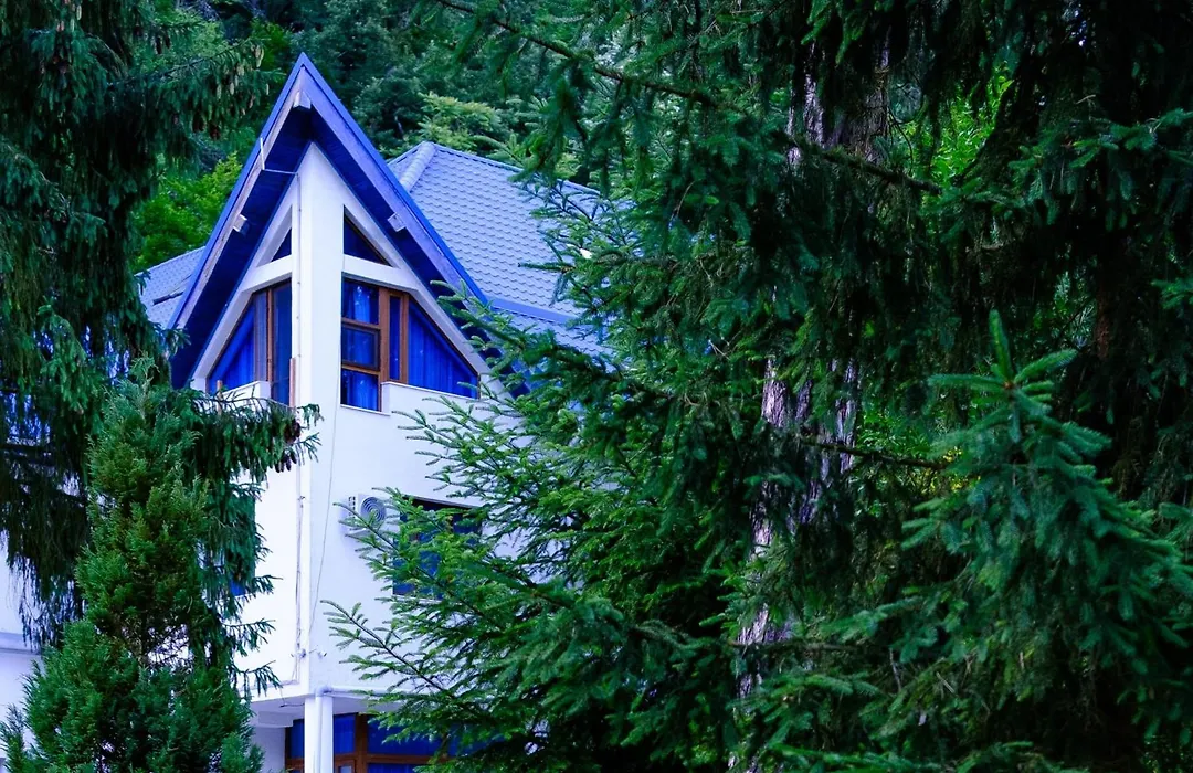 Hotel Parc Geoagiu Bai-1