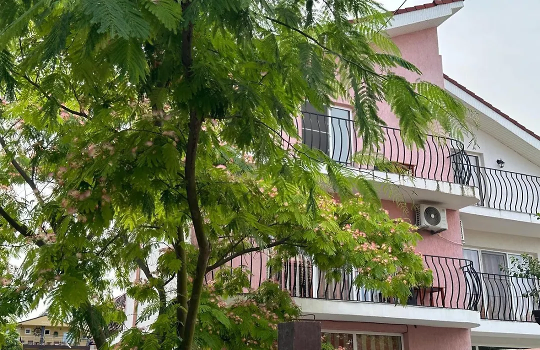 Vila Lucy Costinesti-1