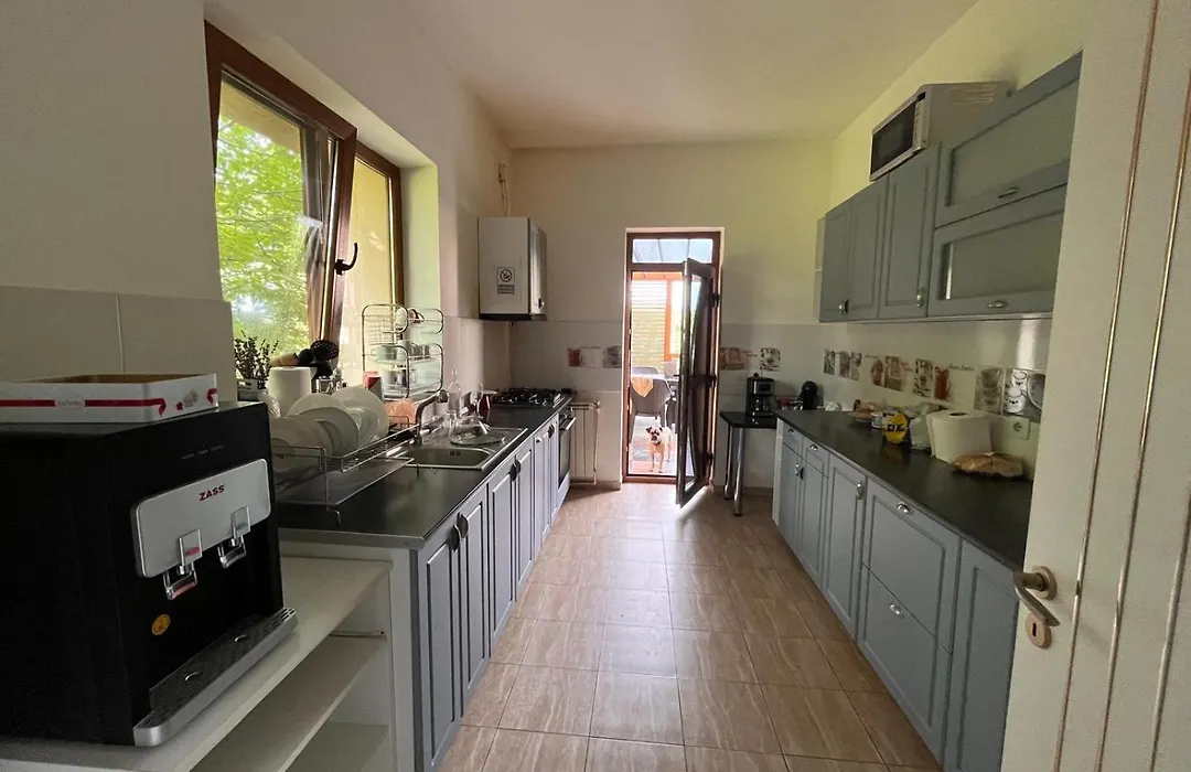 Pensiunea Casa Copou-1
