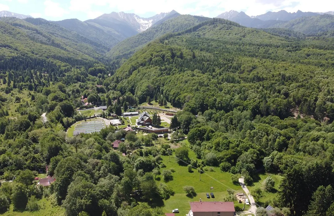 Pensiunea Elena-1