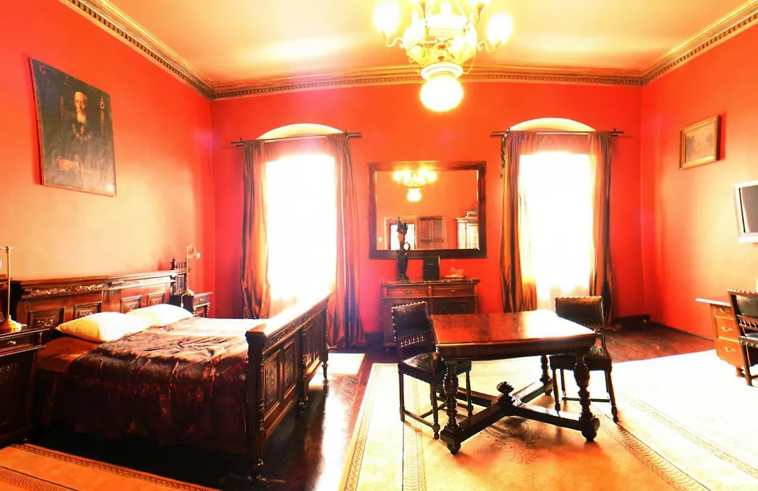 Hotel Poesis Satu Mare-1