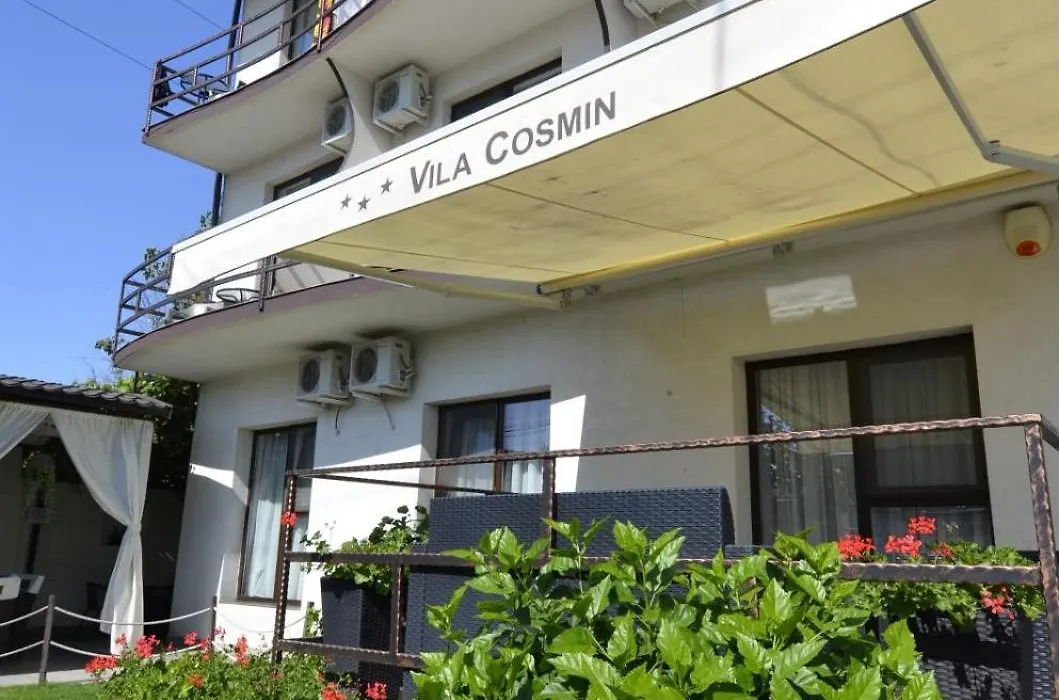 Vila Cosmin-1