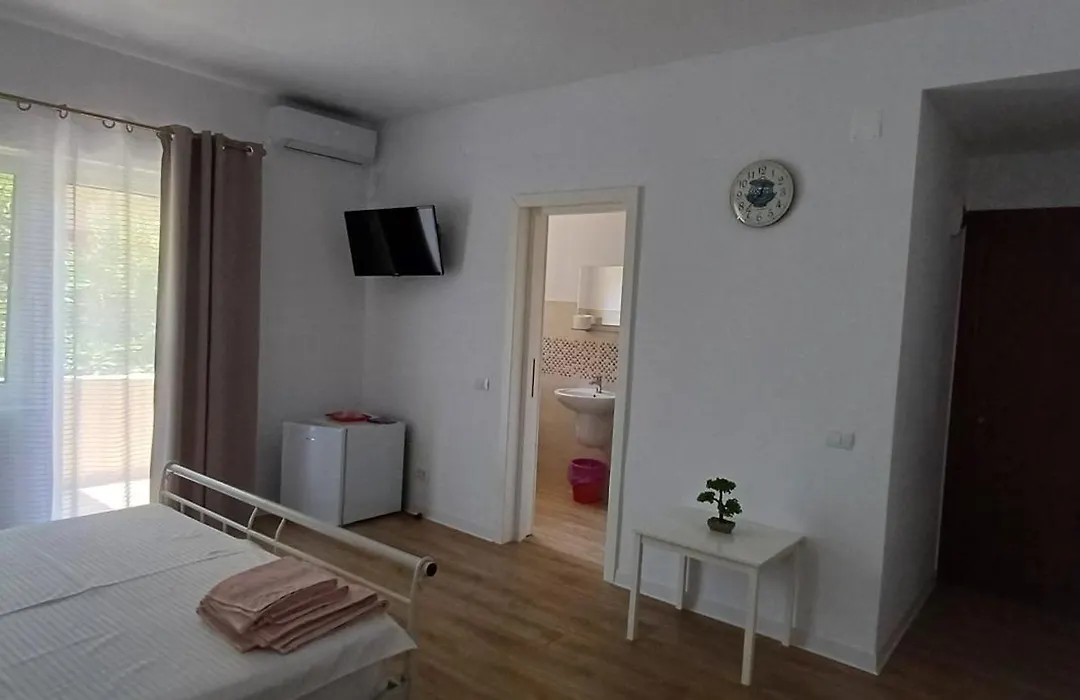 Vila Cosmin-1