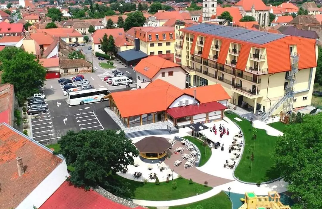 Hotel Leul de Aur-1