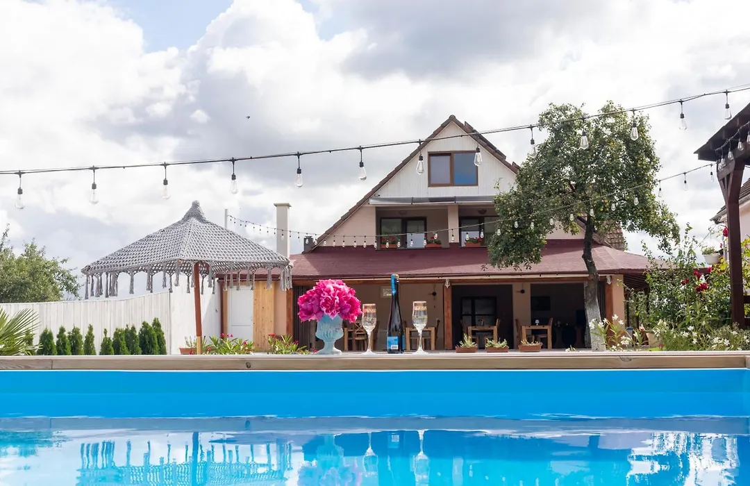 Vila Crisalia Sibiel -Sibiu-1