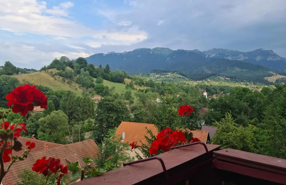 Vila Muntii Bucegi-1