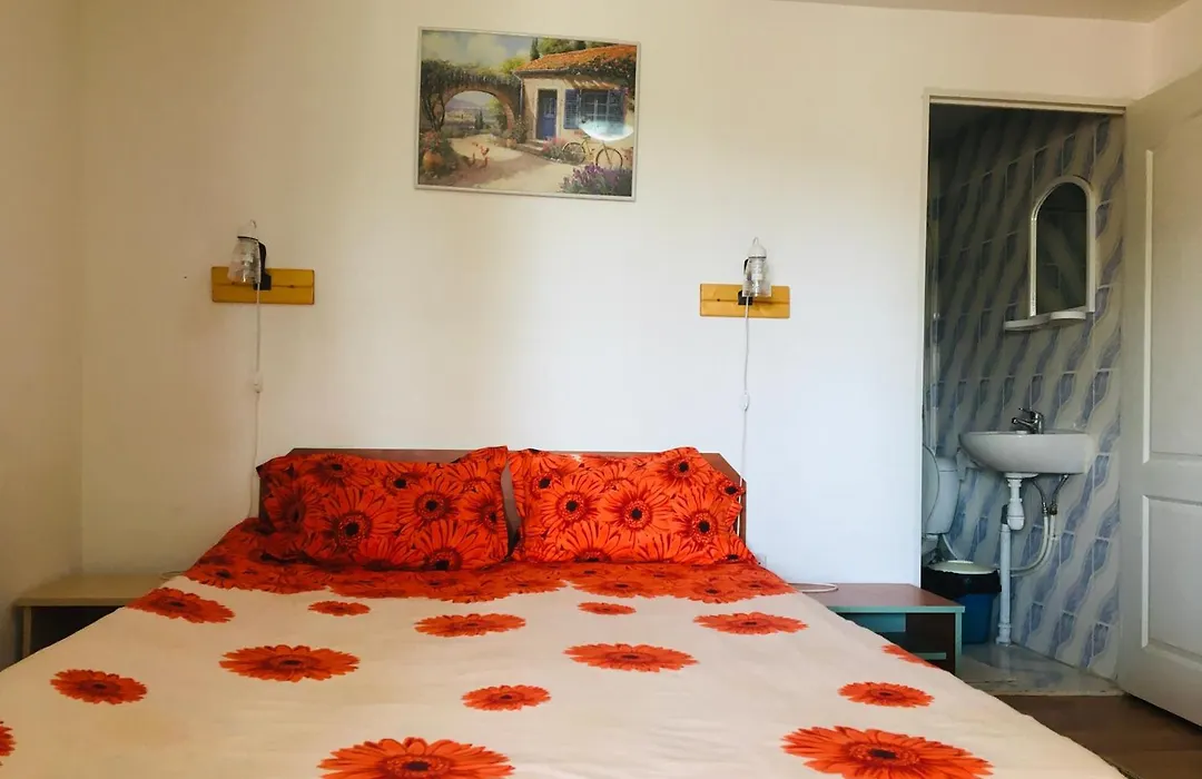 Casa Alexa-1