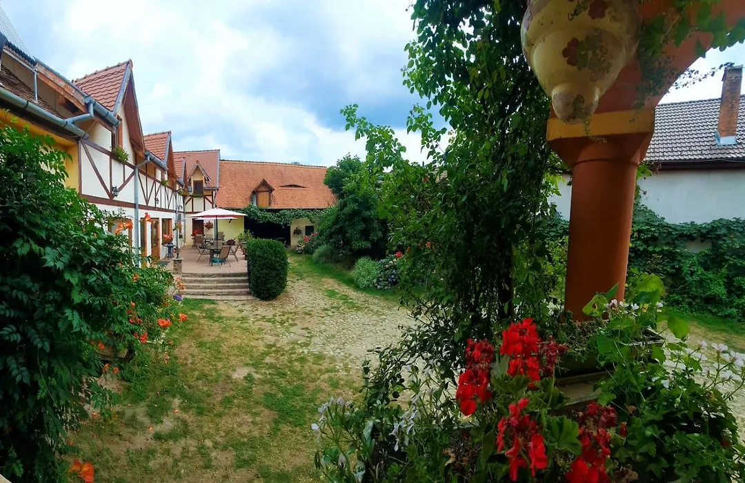 Pensiunea Bendorfeanu-1