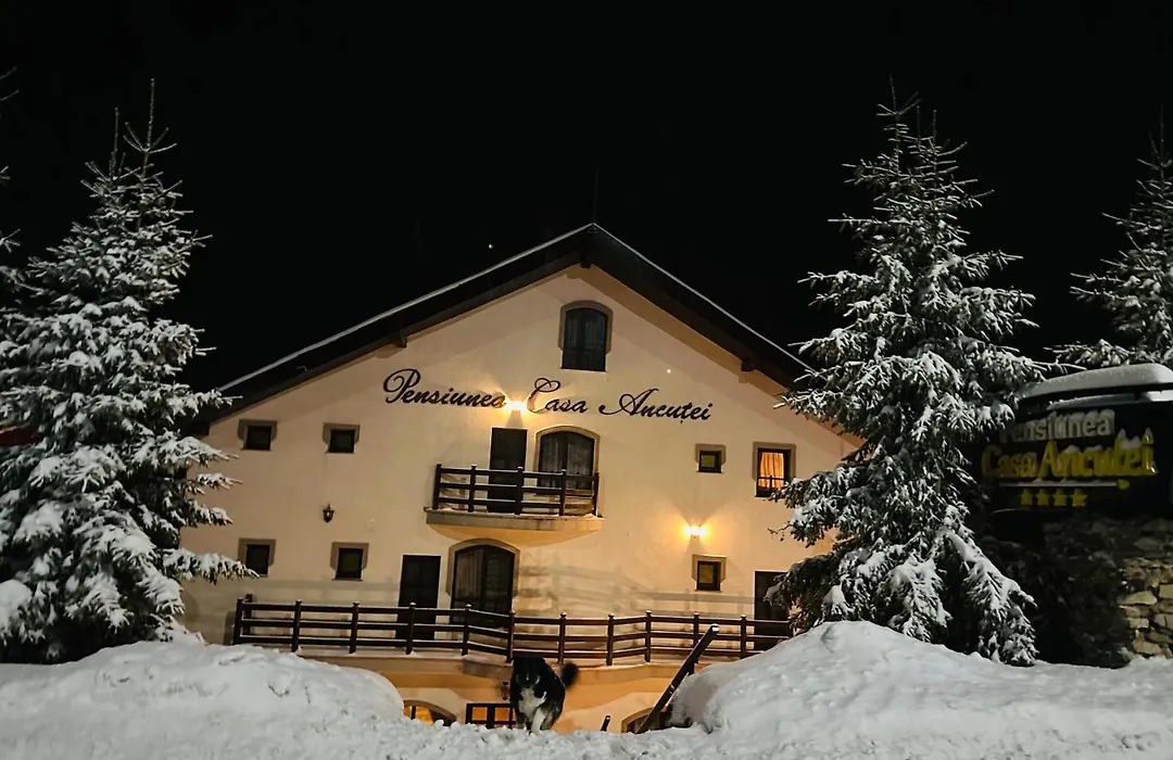 Pensiunea Casa Ancutei-1