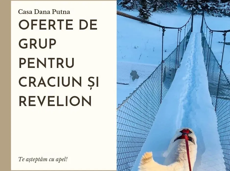 Casa Dana Putna Bucovina-1