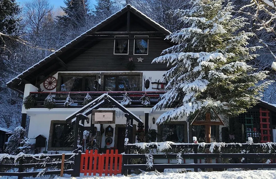 Casa Cu Amintiri - Authentic Cozy Cottage-1