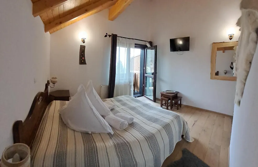 Pension Cabana Ionela-1