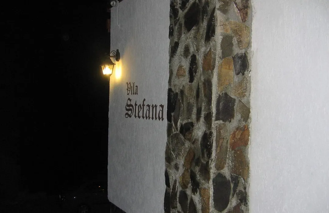 Vila Stefana Paltinis-1