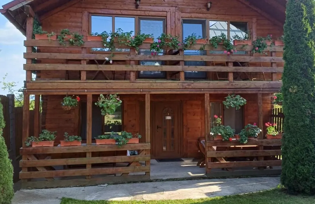 Casa Gherman-1