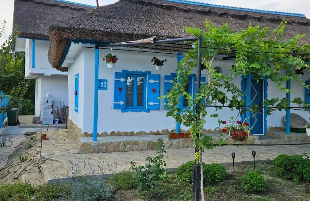 Casa cu stuf Murighiol-1