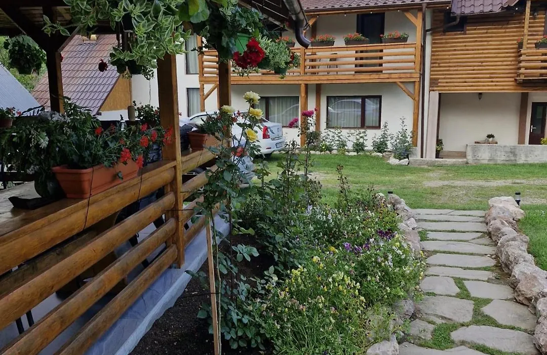 Pensiunea Casa Pancu-1
