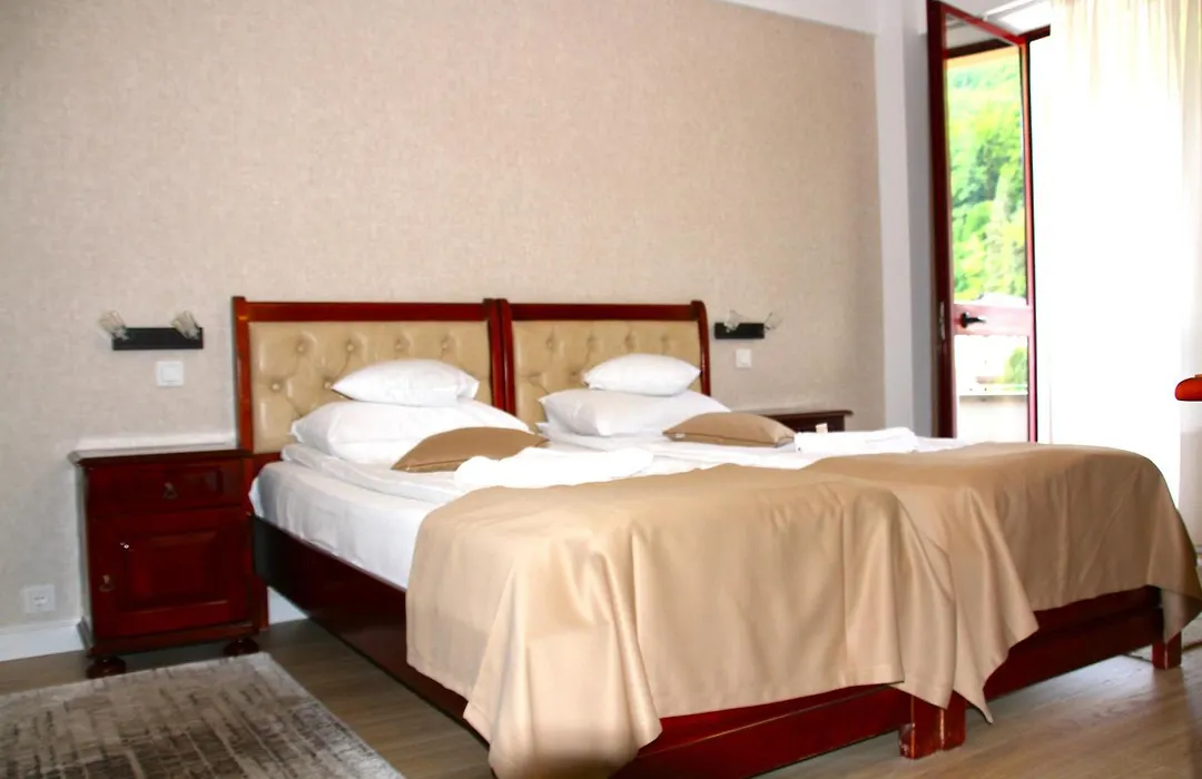 Hotel Nemira-1