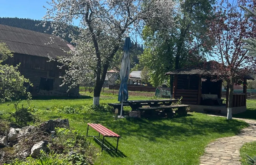 Casa Rareş Suceviţa-1
