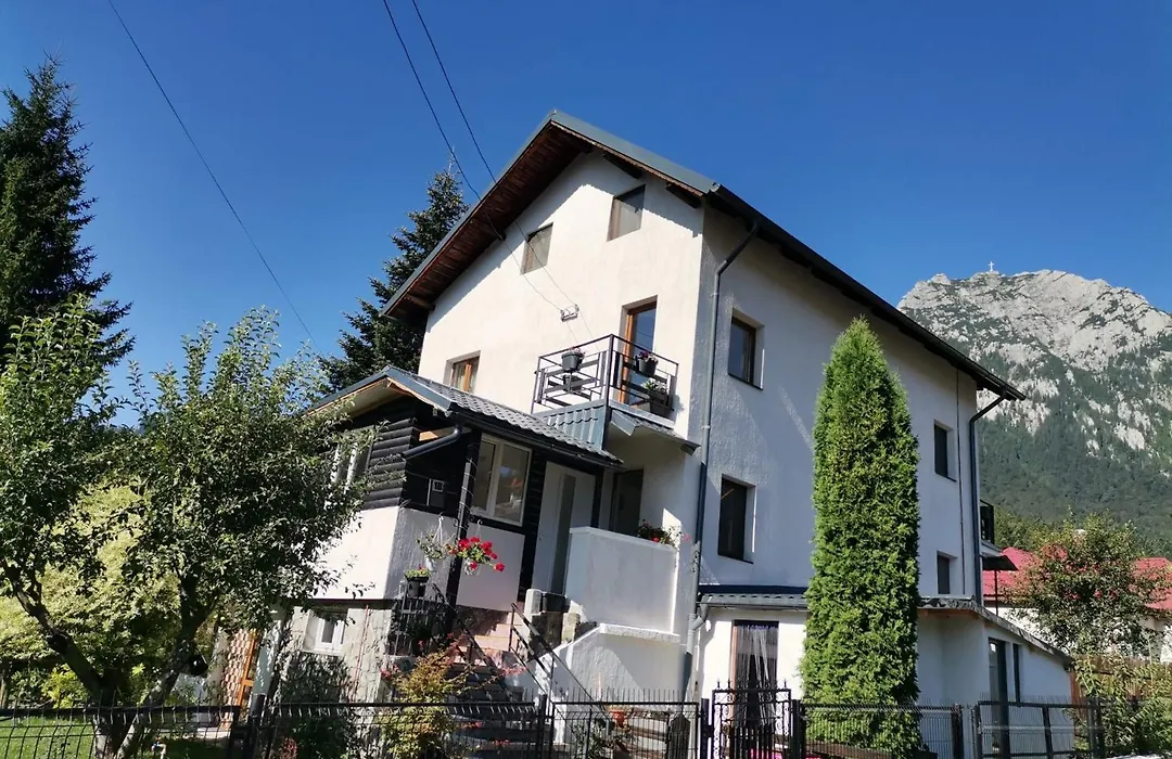 Zoso Home-1