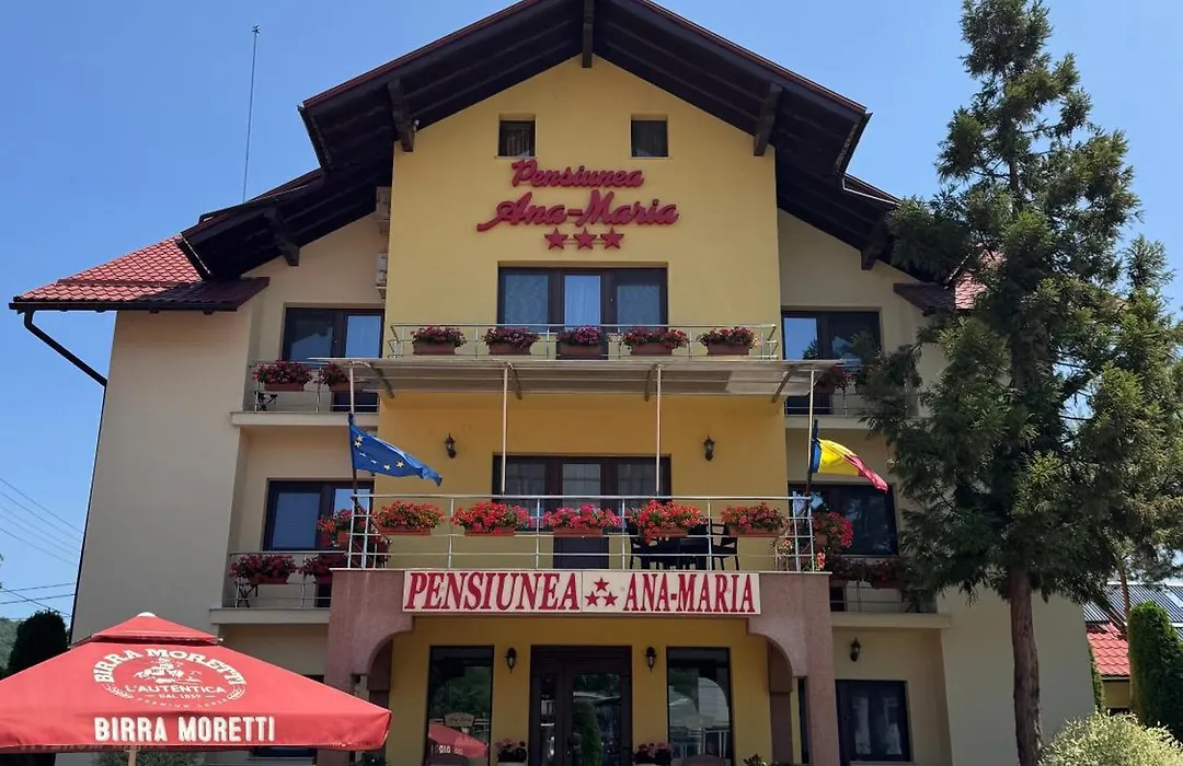 Pensiunea Ana Maria-1