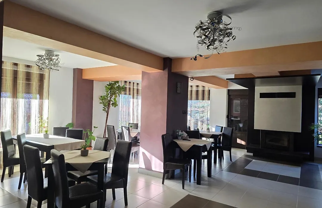 Pensiunea Public House-1