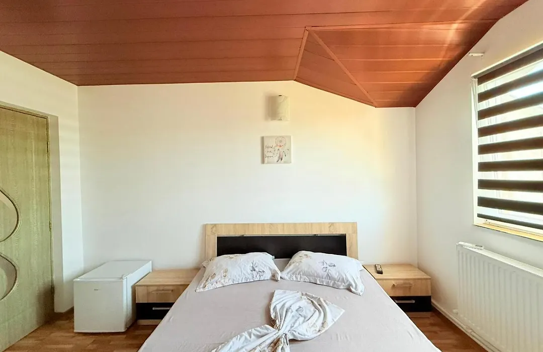 Vila Dragomir-1