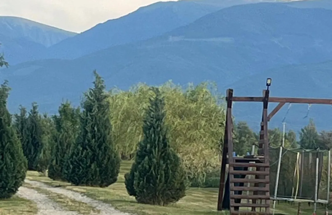 La Izvoare Pensiune-Păstrăvărie-1