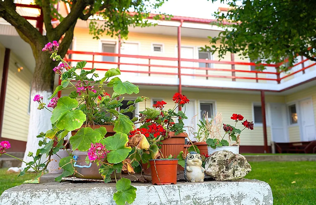 Vila Aty & Michelle-1