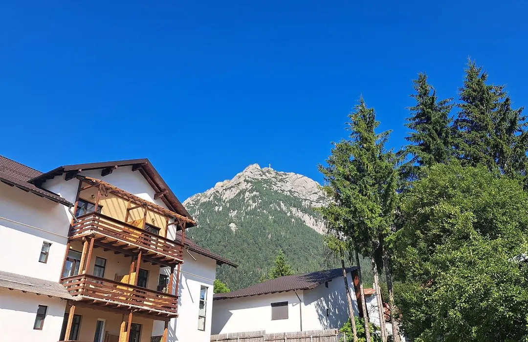 Vila Panoramic Busteni-1