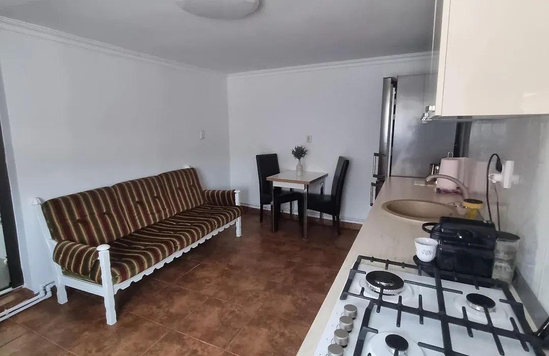 Casa Petcu-1