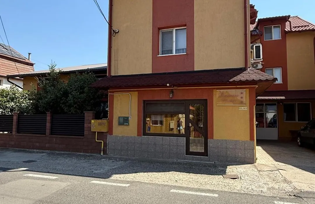 Pensiunea Vladut Timisoara-1