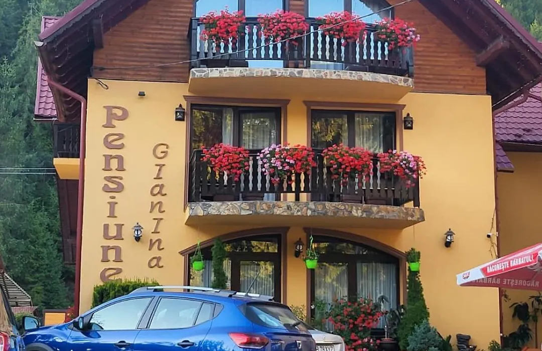 Pensiunea Gianina-1
