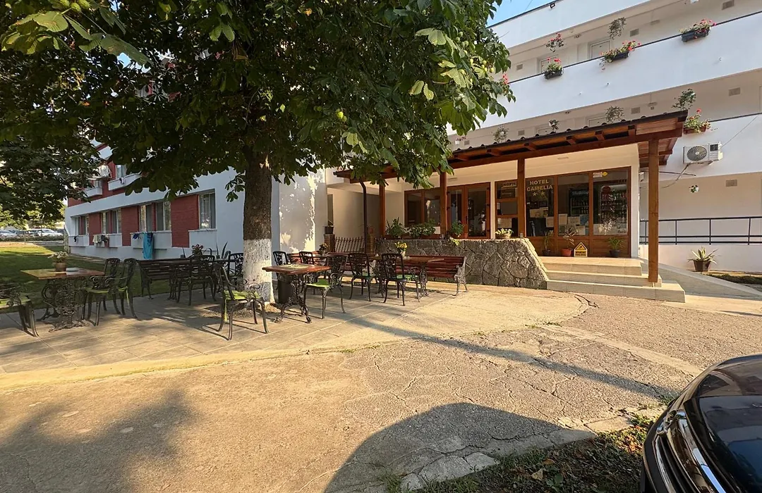 Hotel Camelia-1