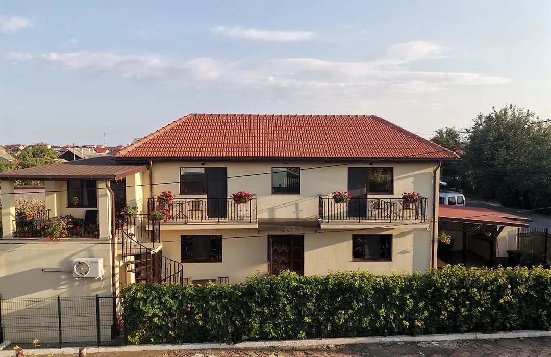 Casa Adina David-1