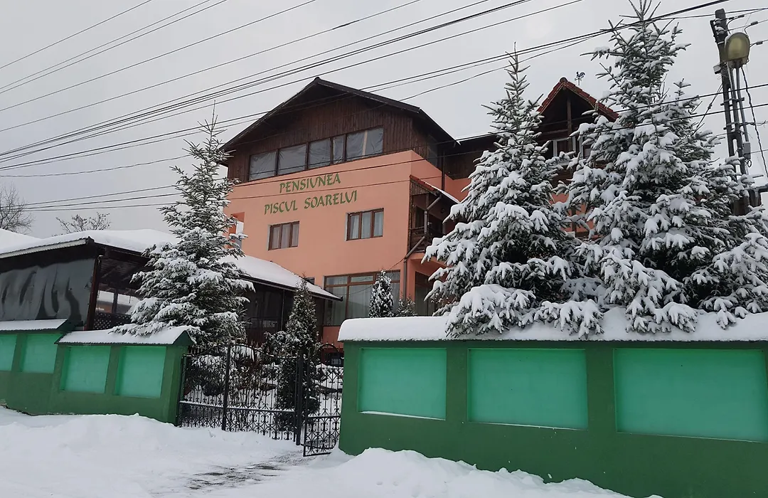 Pensiunea Agroturistică Piscul Soarelui-1