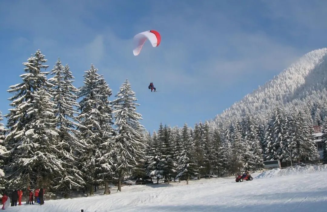 Edelweiss Poiana Hotels-1