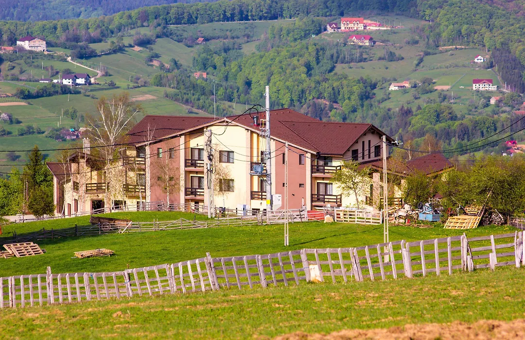 Pensiunea Poiana Viselor-1