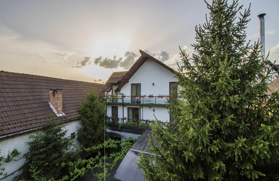 Gasthof Sara-1