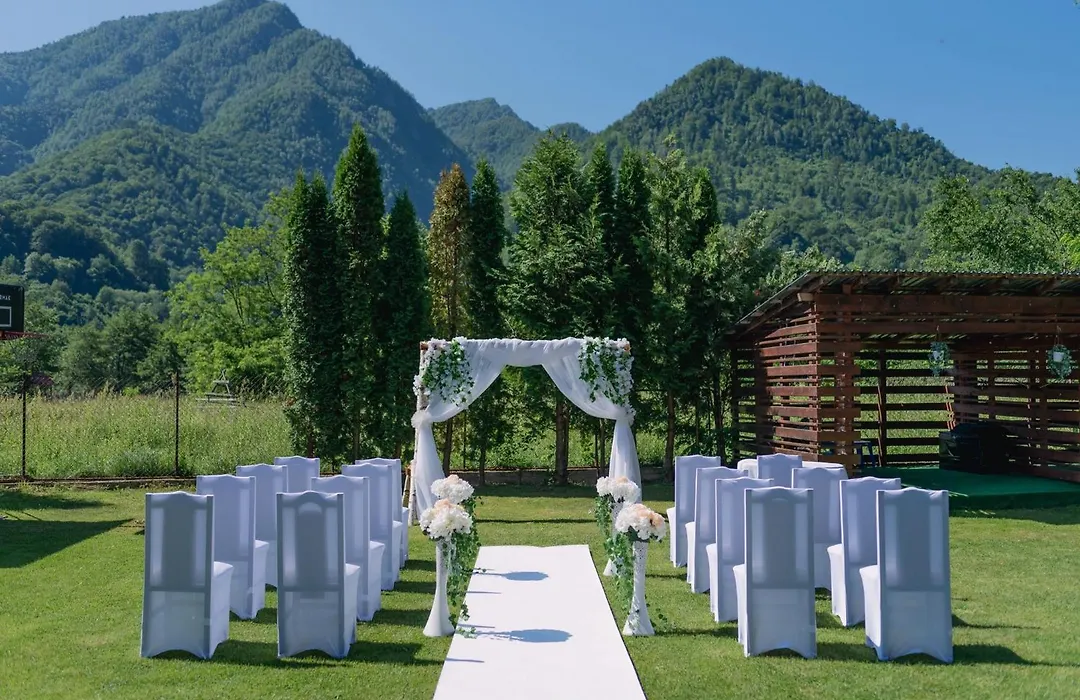 Dendy-1