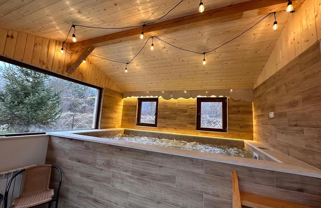 Guest House Carpathia-1