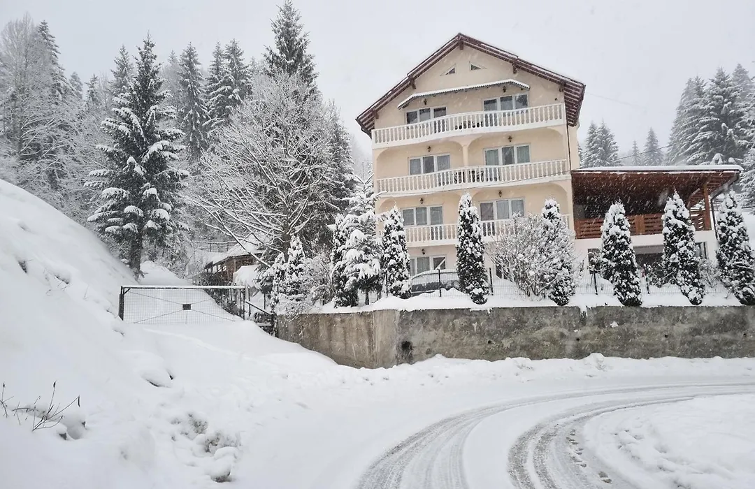Pensiunea Casa Bradet-1