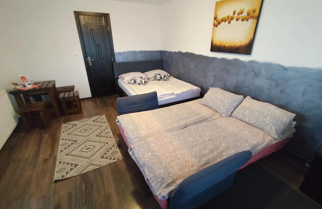 Casa La Andrei-1