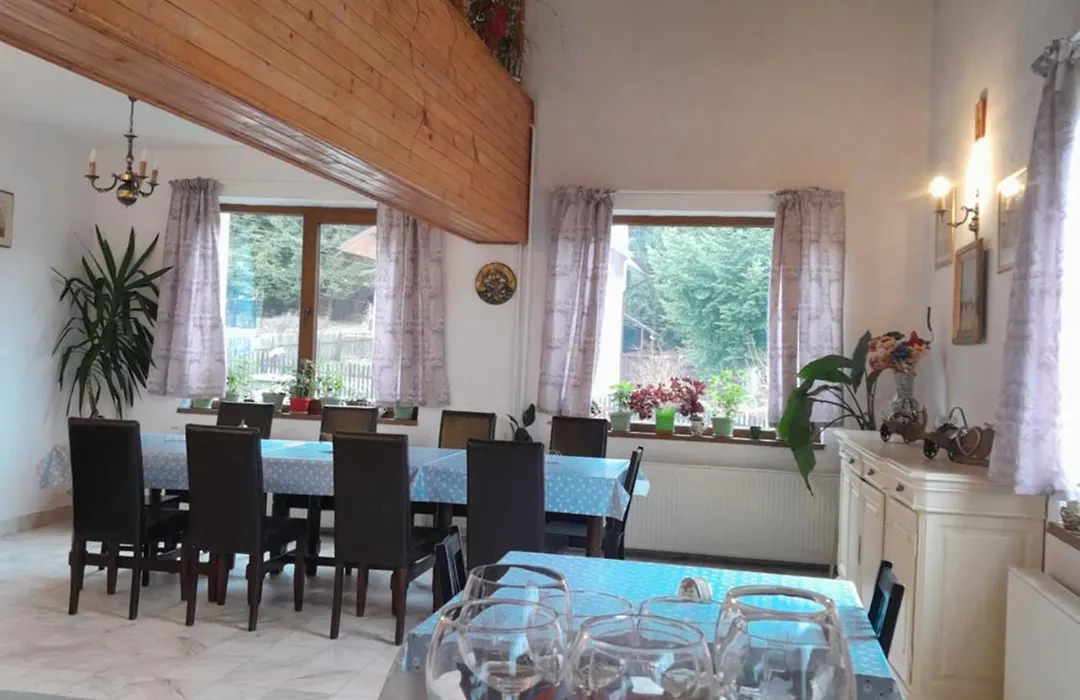 Vila Kira Buşteni-1
