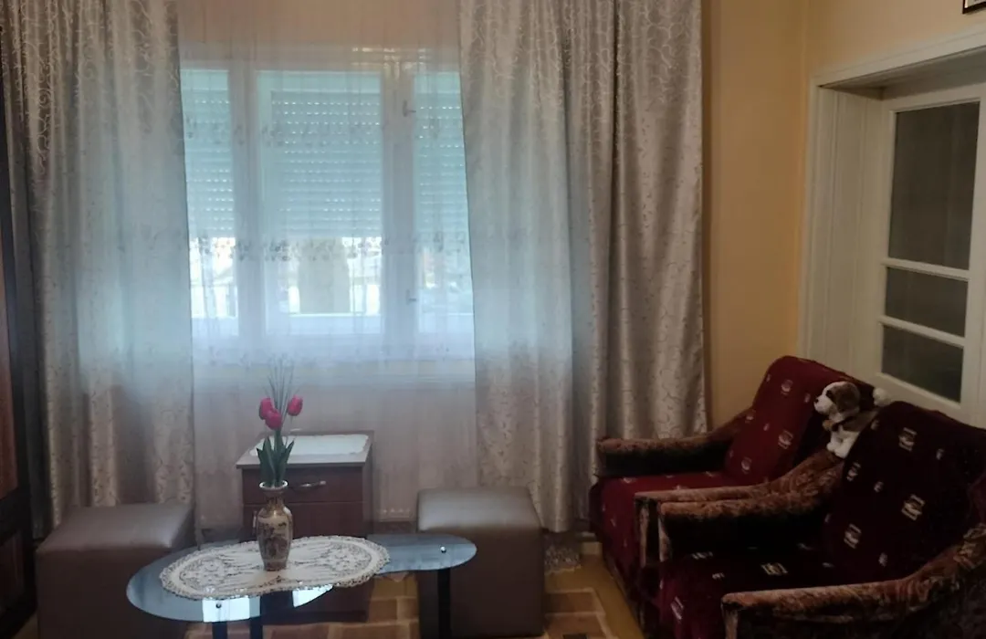 Casa Tudor-Nicolae-1