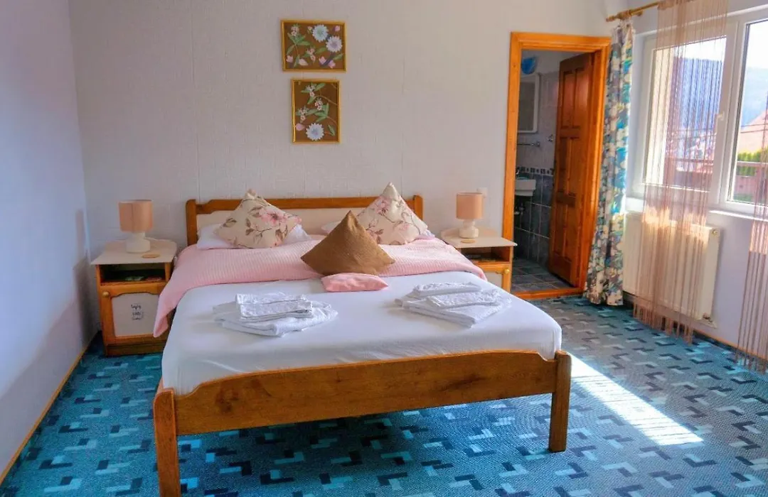 Pension Paunasul-1