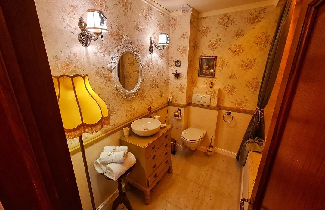 Pensiunea Vlahia Inn-1