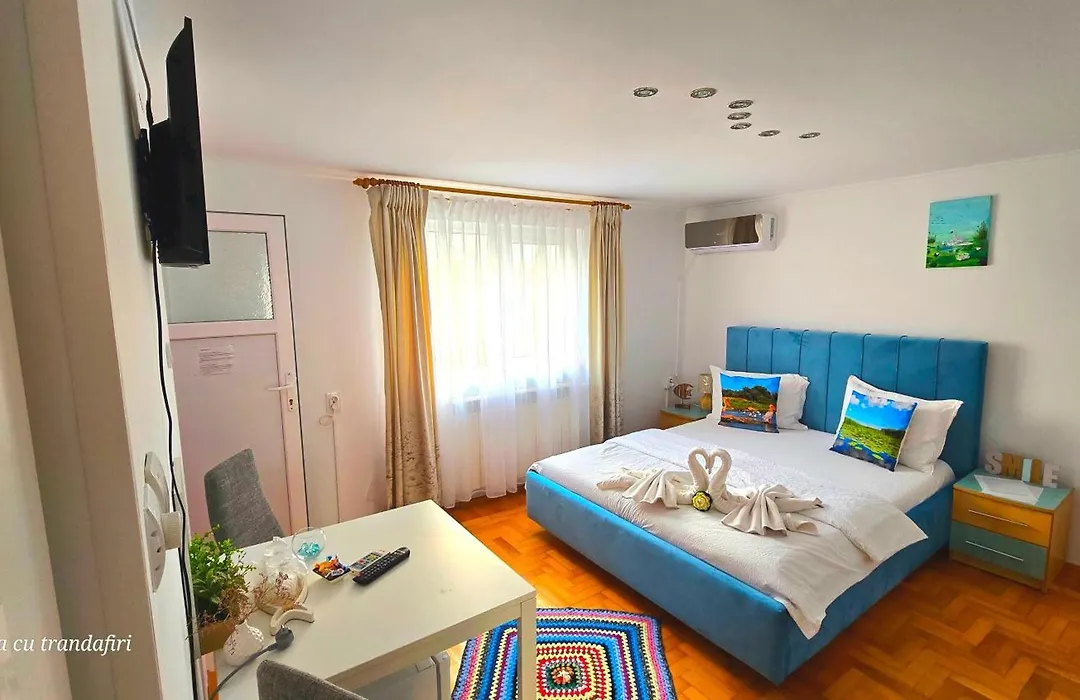 Casa cu Trandafiri Murighiol-1